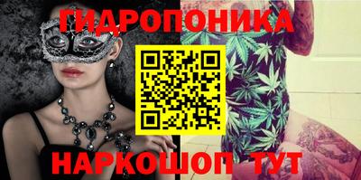 твердый Кингисепп