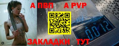 твердый Кингисепп