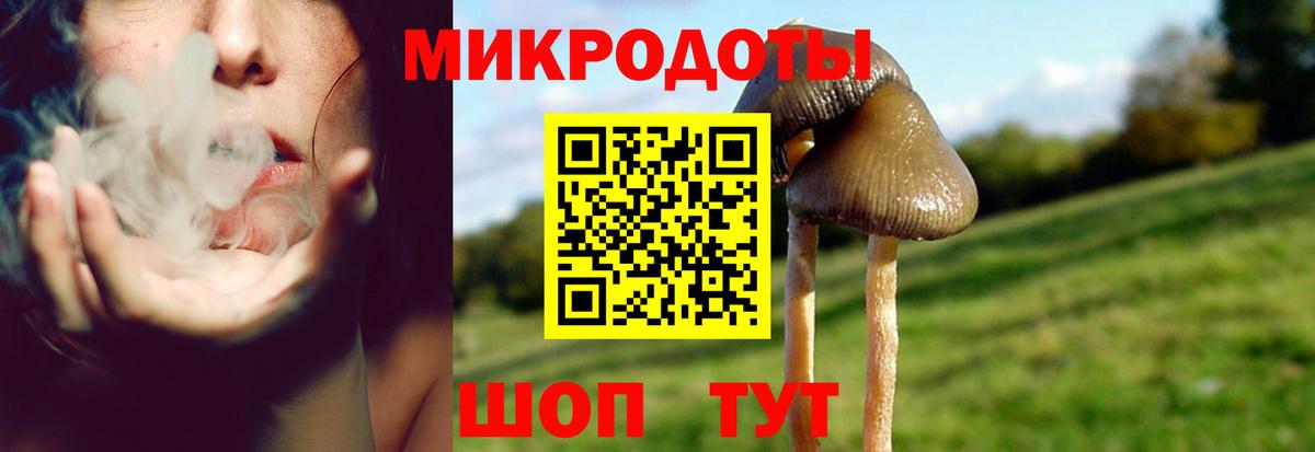 Псилоцибиновые грибы MAGIC MUSHROOMS  Вход с VPN  Галлюциногенные грибы GOLDEN TEACHER  Каспийск 